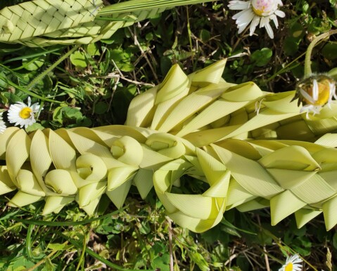 DOMENICA DELLE PALME PALMA INTRECCIATA