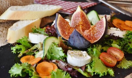 cibo cibo