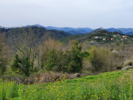 Panorami da LOcalità Trezzo di Corvara